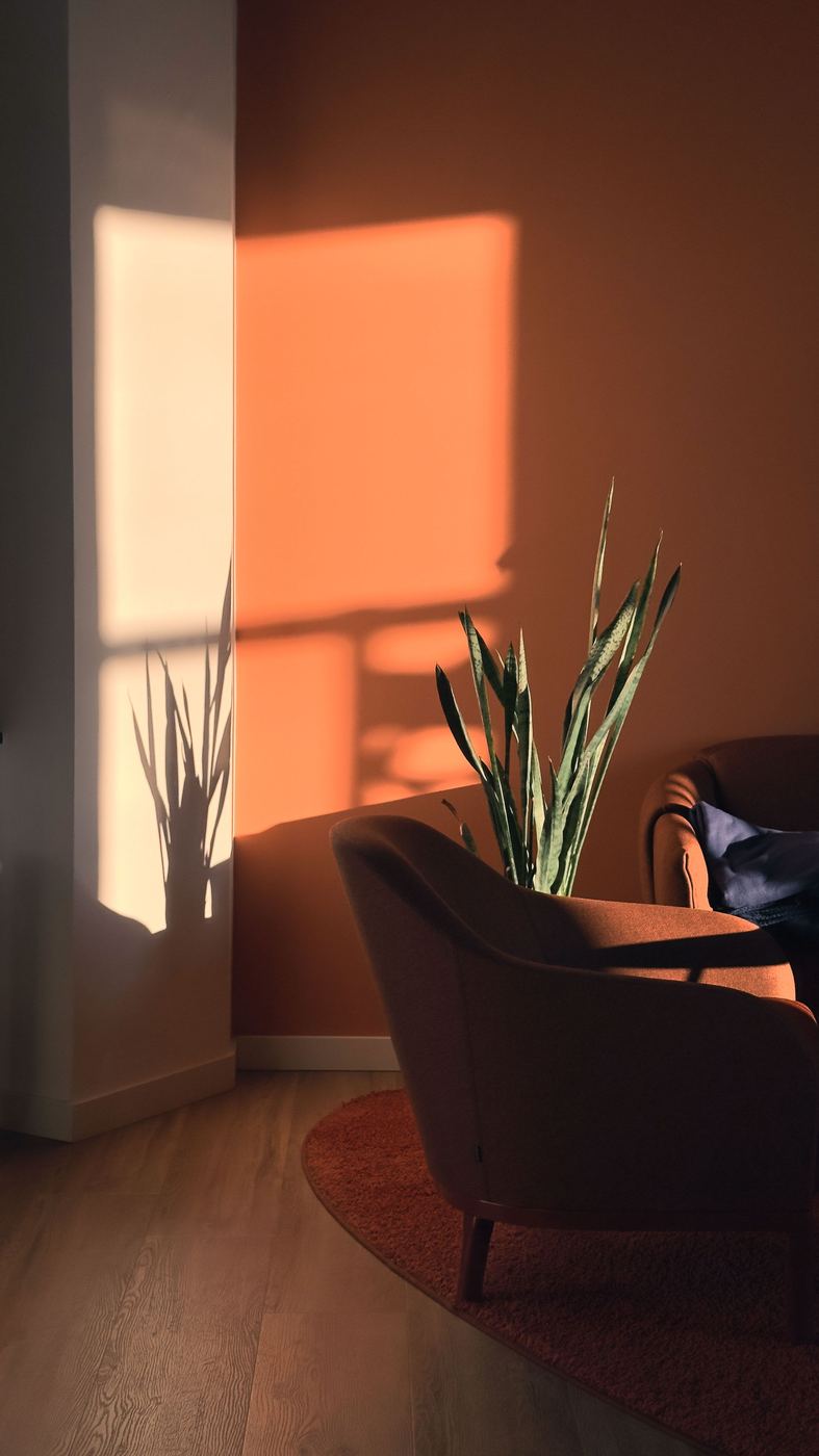 Cozy therapy office with warm sunlight and plants
